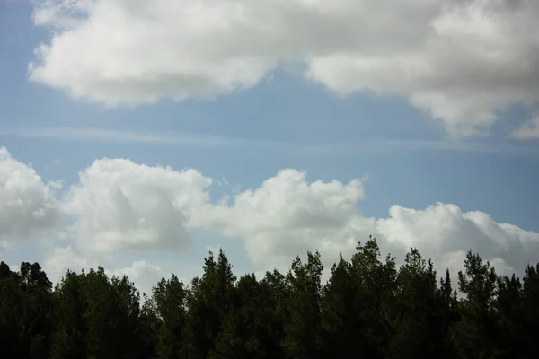 Nature Landscape Jerusalem Israel — Stock Photo, Image