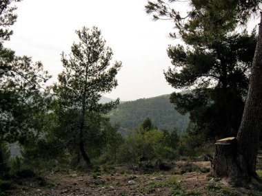 Doğa ve manzara Kudüs'te İsrail çevresinde      