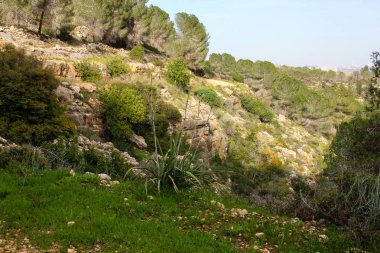 Doğa ve manzara Kudüs'te İsrail çevresinde      