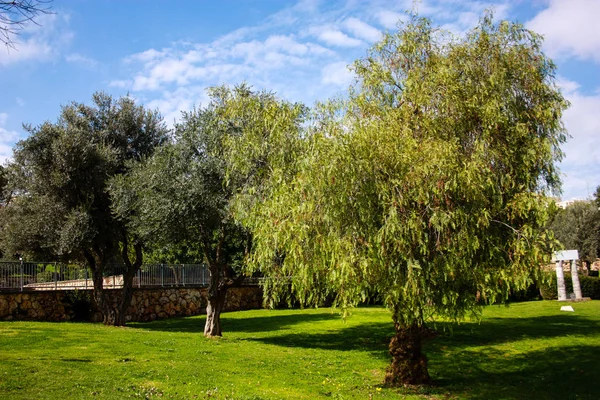 Natur Und Landschaft Jerusalem Israel — Stockfoto