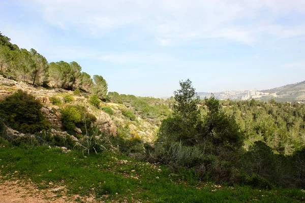Nature Landscape Jerusalem Israel — Stock Photo, Image