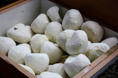 Kudüs İsrail Mahane Yehuda markette satılan renkli baharat kapandı