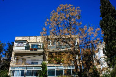 Ha Palmah sokak Katamon alan Kudüs İsrail Mart 14-2018 öğlen binada görünümünü