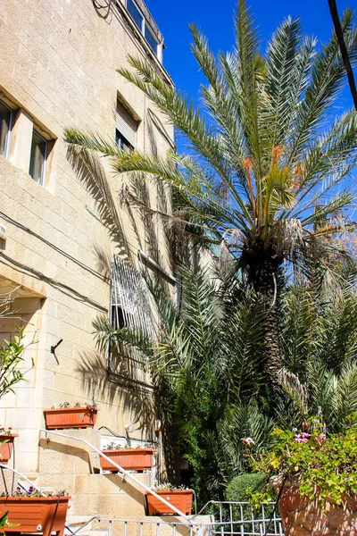 Palmah Sokak Katamon Alan Kudüs Srail Mart 2018 Öğlen Binada — Stok fotoğraf