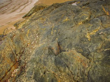 Vahşi kıyı şeridi ve plaj Güney Hindistan'da 