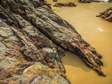 Vahşi kıyı şeridi ve plaj Güney Hindistan'da 