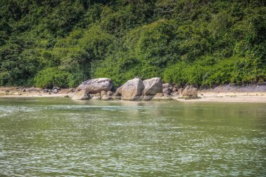 Vahşi kıyı şeridi ve plaj Güney Hindistan'da 