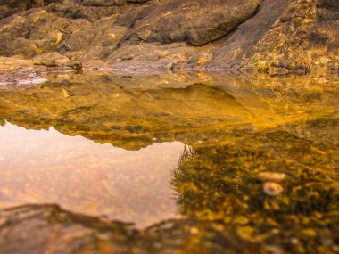 Vahşi kıyı şeridi ve plaj Güney Hindistan'da 