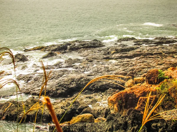 Côte Sauvage Plage Dans Sud Inde — Photo