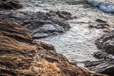 Vahşi kıyı şeridi ve plaj Güney Hindistan'da 