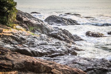 Vahşi kıyı şeridi ve plaj Güney Hindistan'da 