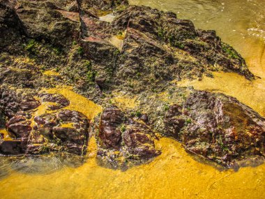 Vahşi kıyı şeridi ve plaj Güney Hindistan'da 