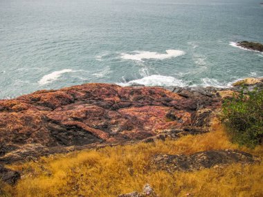 Vahşi kıyı şeridi ve plaj Güney Hindistan'da 