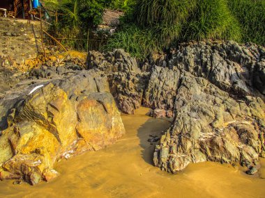 Vahşi kıyı şeridi ve plaj Güney Hindistan'da 