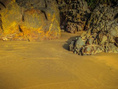 Vahşi kıyı şeridi ve plaj Güney Hindistan'da 