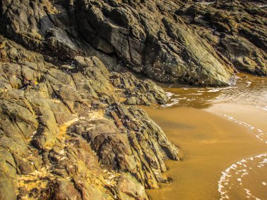 Vahşi kıyı şeridi ve plaj Güney Hindistan'da 