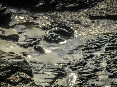 Vahşi kıyı şeridi ve plaj Güney Hindistan'da 