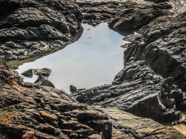 Vahşi kıyı şeridi ve plaj Güney Hindistan'da 