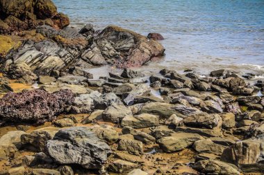 Vahşi kıyı şeridi ve plaj Güney Hindistan'da 