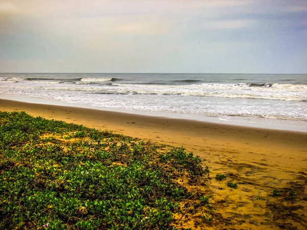 Wild Coastline Beach Southern India — Stock Photo, Image