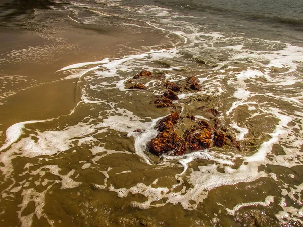 Costa Selvagem Praia Sul Índia — Fotografia de Stock