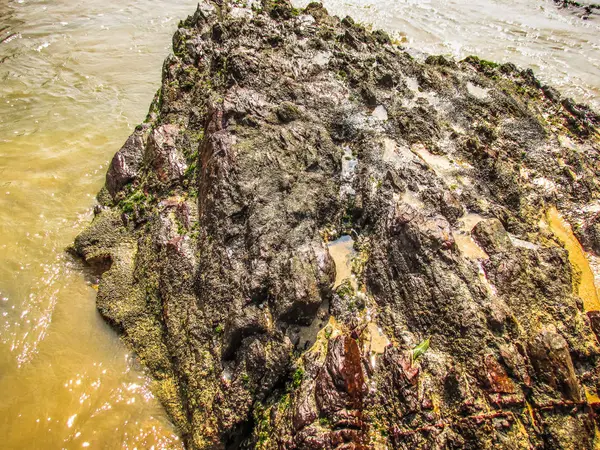 荒々しい海岸線が楽しめますし 南インドのビーチ — ストック写真