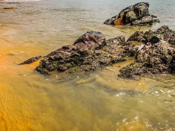 Côte Sauvage Plage Dans Sud Inde — Photo