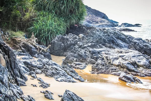 Côte Sauvage Plage Dans Sud Inde — Photo