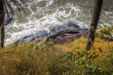 Vahşi kıyı şeridi ve plaj Güney Hindistan'da 