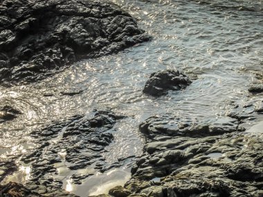 Vahşi kıyı şeridi ve plaj Güney Hindistan'da 