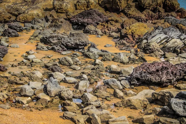 Wilde Küste Und Strand Südindien — Stockfoto