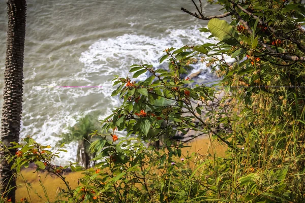 Wilde Kust Strand Zuid India — Stockfoto