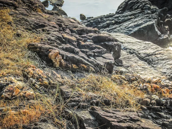 Wilde Küste Und Strand Südindien — Stockfoto