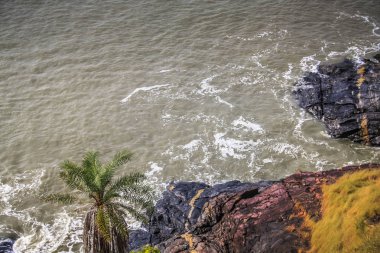 Vahşi kıyı şeridi ve plaj Güney Hindistan'da 