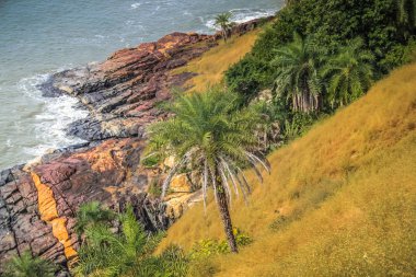 Vahşi kıyı şeridi ve plaj Güney Hindistan'da 