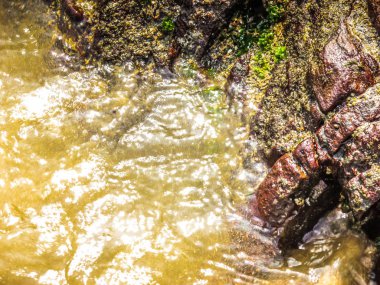 Vahşi kıyı şeridi ve plaj Güney Hindistan'da 