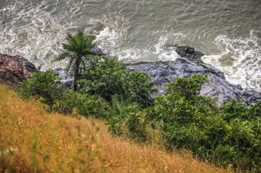 Vahşi kıyı şeridi ve plaj Güney Hindistan'da 