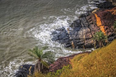 Vahşi kıyı şeridi ve plaj Güney Hindistan'da 