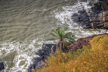 Vahşi kıyı şeridi ve plaj Güney Hindistan'da 