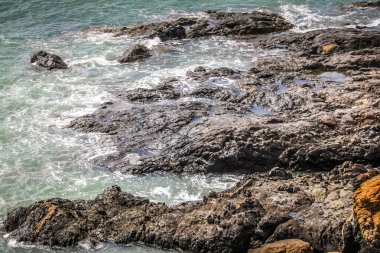 Vahşi kıyı şeridi ve plaj Güney Hindistan'da 