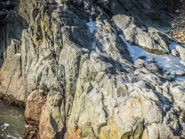 Vahşi kıyı şeridi ve plaj Güney Hindistan'da 