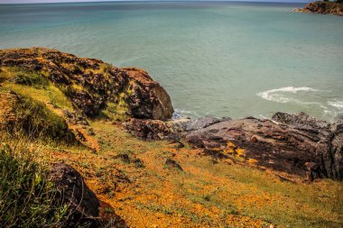 Doğa ve manzara Goa Güney Hindistan'da 