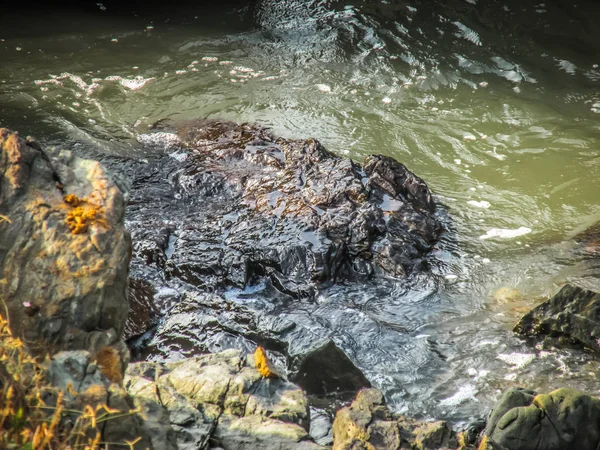 荒々しい海岸線が楽しめますし 南インドのビーチ — ストック写真