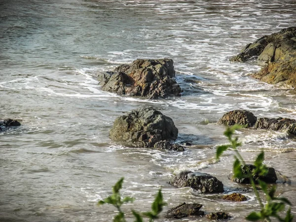 Wild Coastline Beach Southern India — Stock Photo, Image