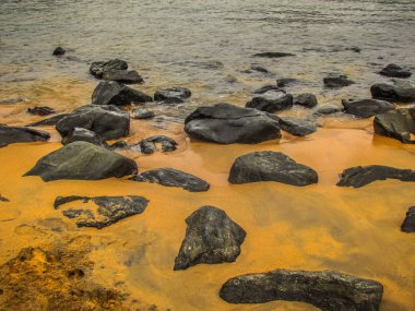 Doğa ve manzara Goa Güney Hindistan'da 