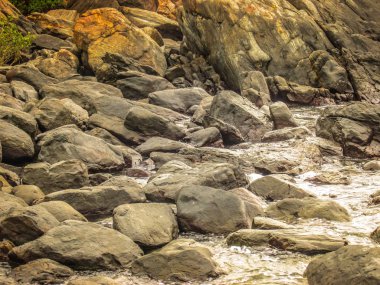 Doğa ve manzara Goa Güney Hindistan'da 