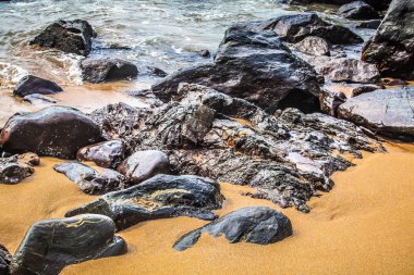 Doğa ve manzara Goa Güney Hindistan'da 
