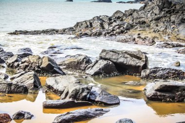 Vahşi kıyı şeridi ve plaj Güney Hindistan'da 