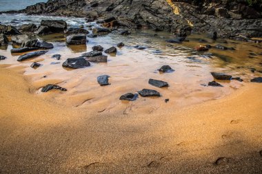 Vahşi kıyı şeridi ve plaj Güney Hindistan'da 