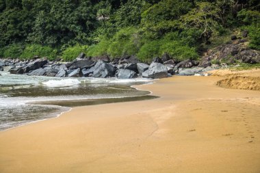 Vahşi kıyı şeridi ve plaj Güney Hindistan'da 